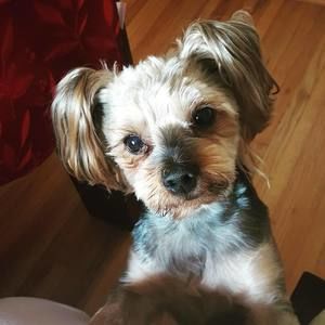 Meet your Posher, Tammy